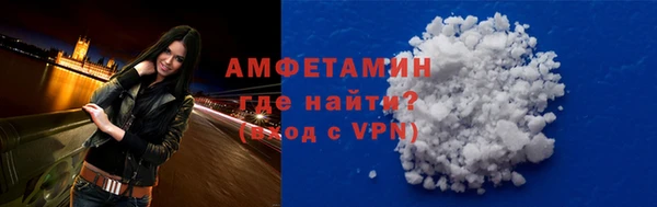 мет Алексин