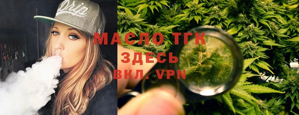 мет Алексин