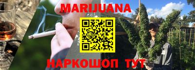 бошки Гатчина