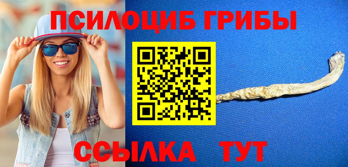 Галлюциногенные грибы MAGIC MUSHROOMS Татарск